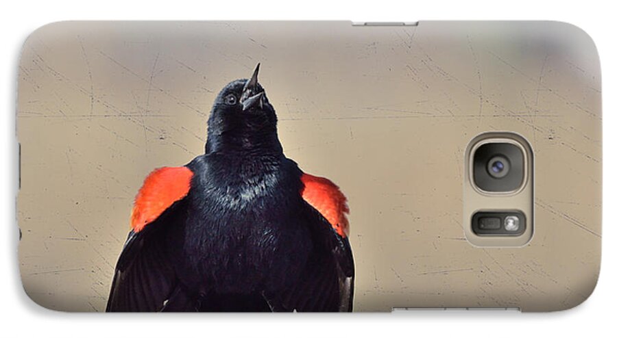 Redwing Blackbird Galaxy S7 Case featuring the photograph Blackbird Singing by Kae Cheatham