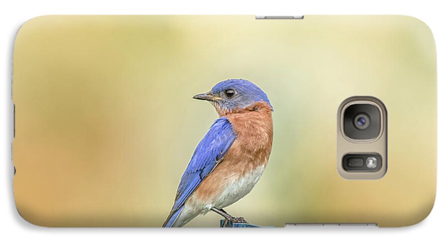 Nature Galaxy S7 Case featuring the photograph Bluebird On Blue Stick by Robert Frederick