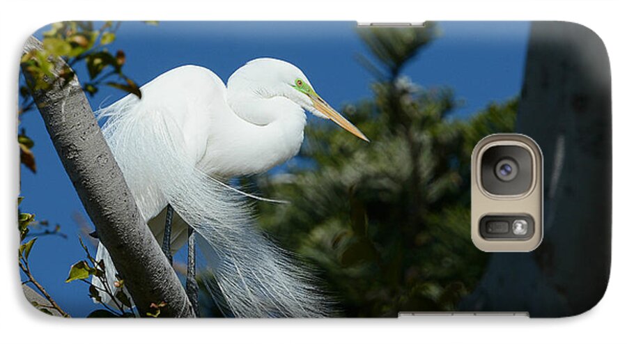 Great Egret Galaxy S7 Case featuring the photograph Breeding Beauty by Fraida Gutovich