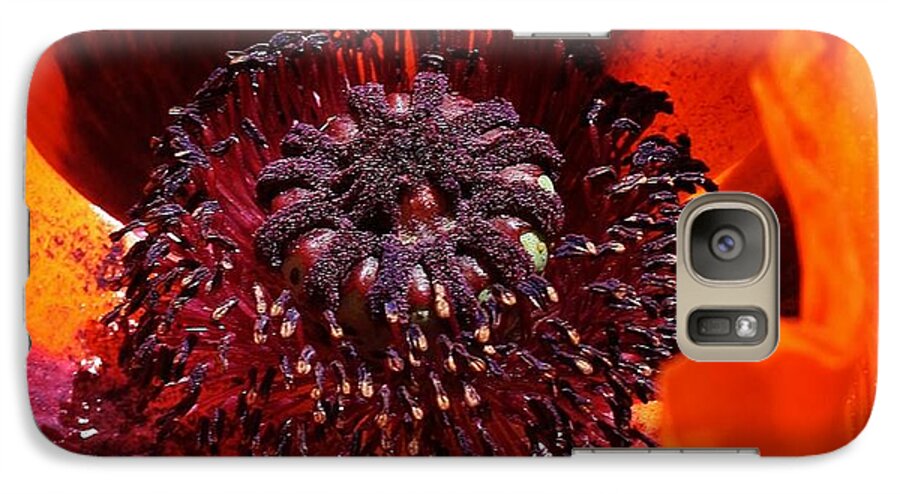 Flora Galaxy S7 Case featuring the photograph Brilliant Poppy by Bruce Bley