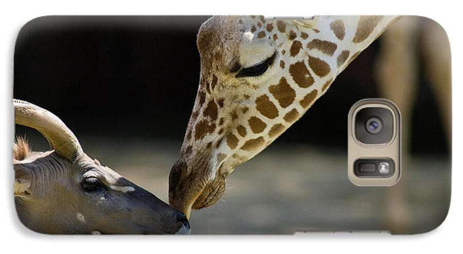 Giraffe Galaxy S7 Case featuring the photograph Buddies by Steve Stuller