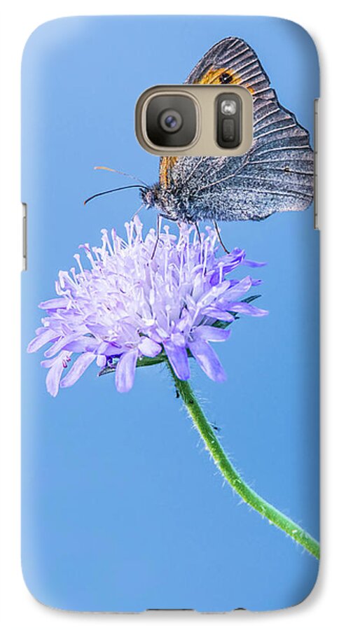 Butterfly Galaxy S7 Case featuring the photograph Butterfly by Jaroslaw Grudzinski