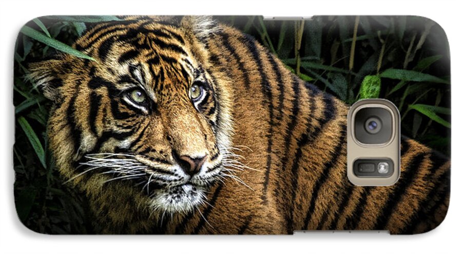 Asia Galaxy S7 Case featuring the photograph Careful by Cheri McEachin