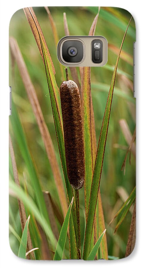 Botanical Galaxy S7 Case featuring the photograph Cat Tail by Paul Freidlund