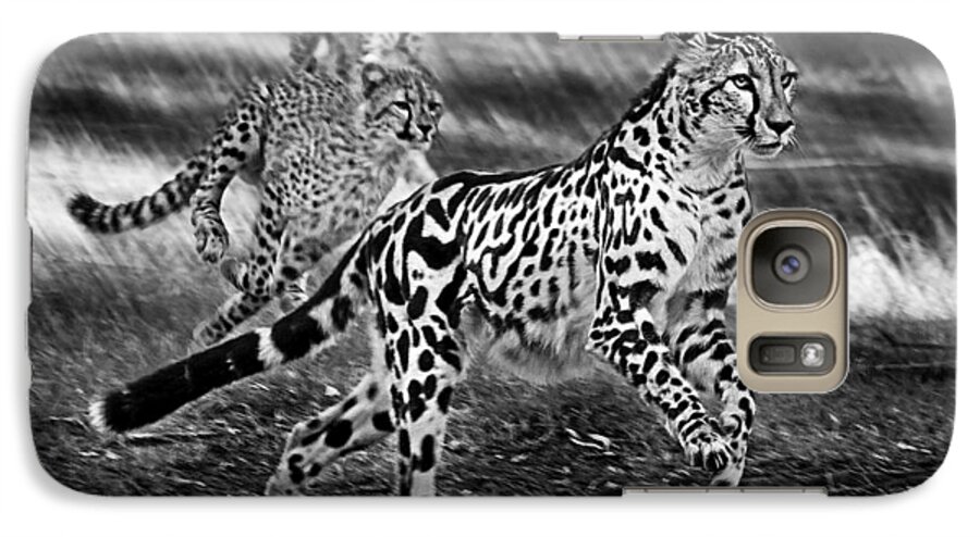 #cheetah Galaxy S7 Case featuring the photograph Chasing mum by Miroslava Jurcik