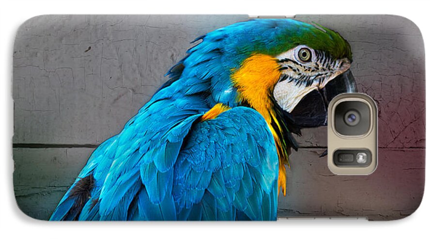 Bird Galaxy S7 Case featuring the photograph Colorful by Robert Pilkington