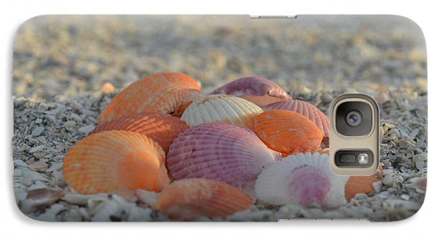 Scallop Shells Galaxy S7 Case featuring the photograph Colorful Scallop Shells by Melanie Moraga