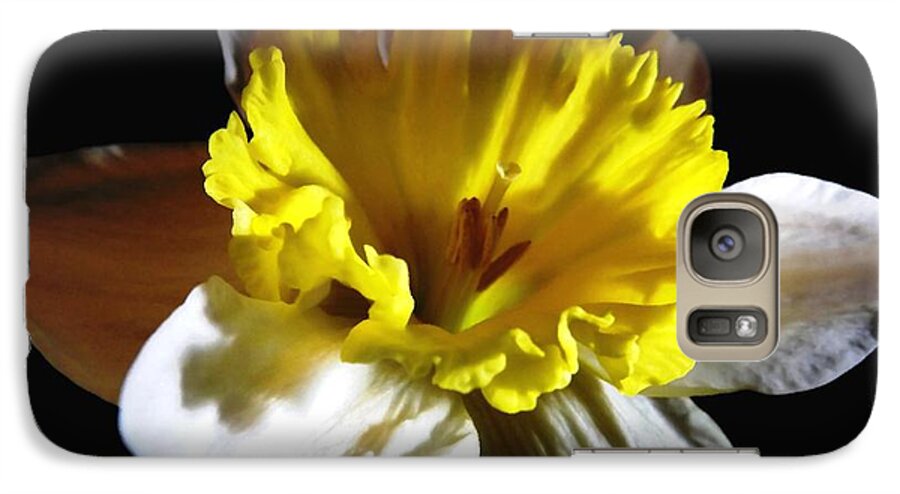 Daffodils Galaxy S7 Case featuring the photograph Daffodil 2 by Rose Santuci-Sofranko