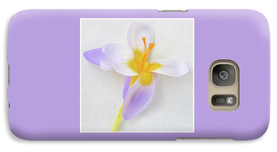 Crocus Galaxy S7 Case featuring the photograph Delicate Art Of Crocus by Terence Davis