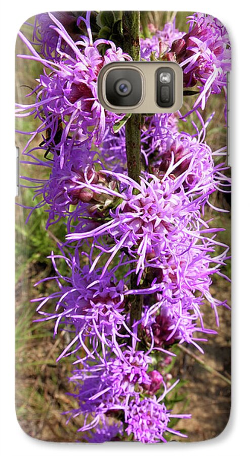 Flower Galaxy S7 Case featuring the photograph Dense Blazing Star by Scott Kingery