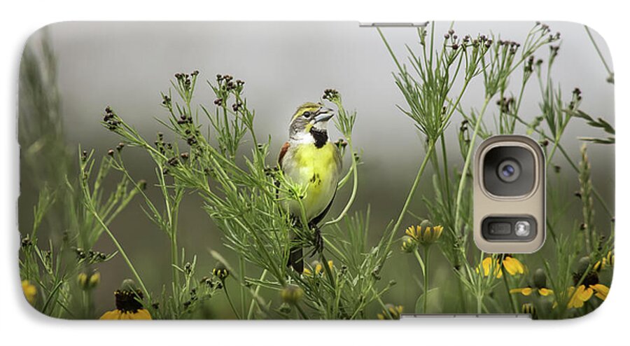 Nature Galaxy S7 Case featuring the photograph Dickcissel With Mexican Hat by Robert Frederick