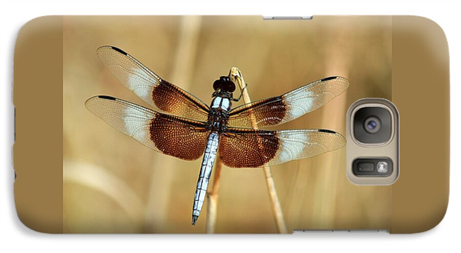 Nature Galaxy S7 Case featuring the photograph Dragonfly on Reed by Sheila Brown