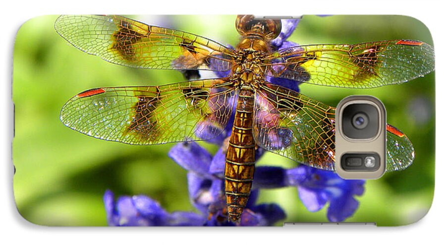 Dragonfly Galaxy S7 Case featuring the photograph Dragonfly by Sandi OReilly