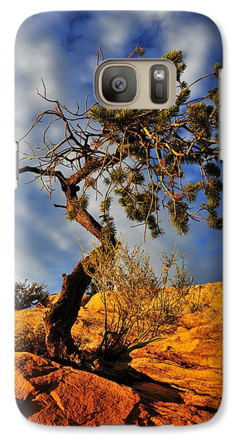 Dusk Dance Galaxy S7 Case featuring the photograph Dusk Dance by Skip Hunt