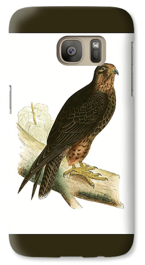 Ornithology Galaxy S7 Case featuring the painting Eleonora Falcon by English School