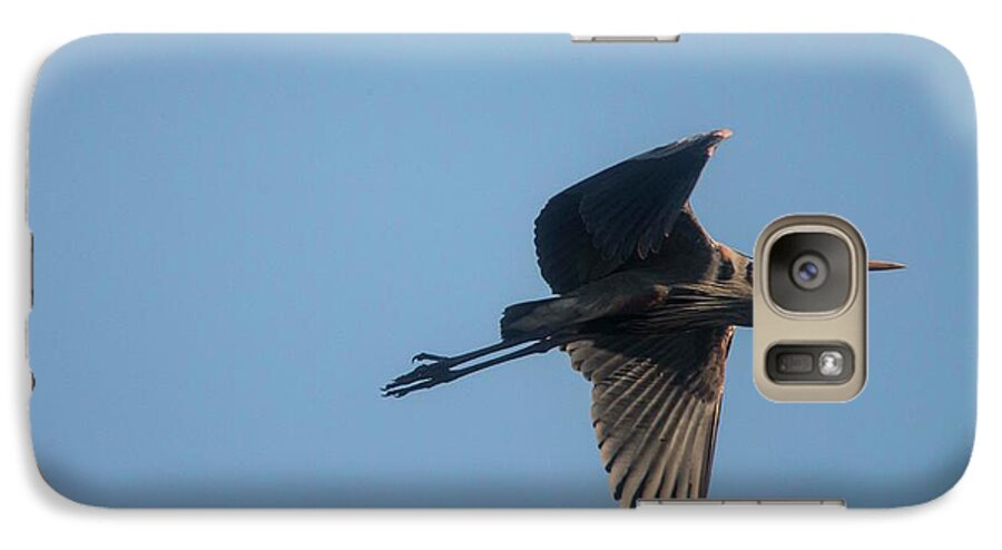 Blue Heron Galaxy S7 Case featuring the photograph Feathering the nest by David Bearden
