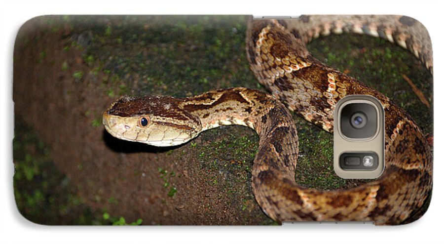 Snake Galaxy S7 Case featuring the photograph Fer-de-lance, Botherops asper by Breck Bartholomew