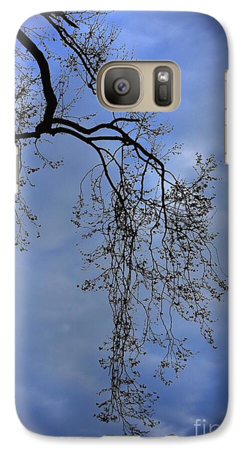 Nature Galaxy S7 Case featuring the photograph Filigree From On High by Skip Willits