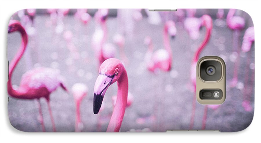 Animals Galaxy S7 Case featuring the photograph Flamingo by Setsiri Silapasuwanchai