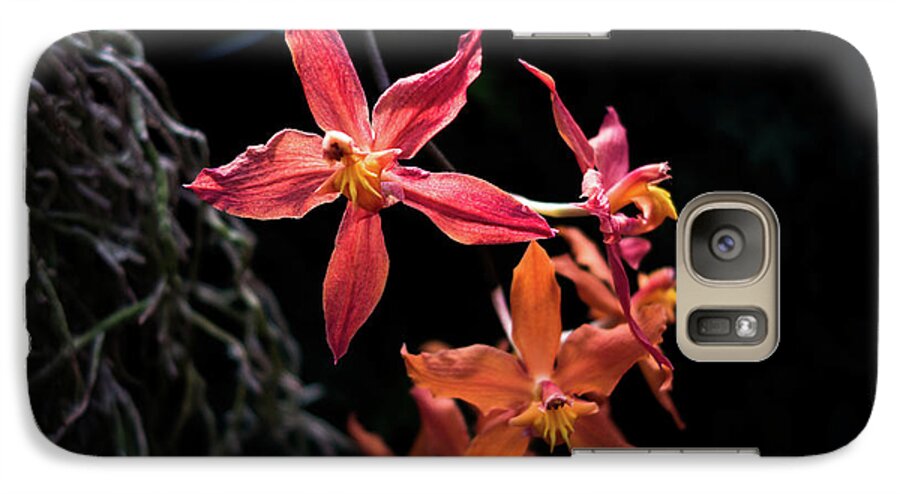 Longwood Gardens Galaxy S7 Case featuring the photograph Follow The Leader by David Sutton
