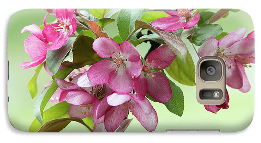 Blossoms Galaxy S7 Case featuring the photograph For The Beauty of The Earth by Skip Tribby