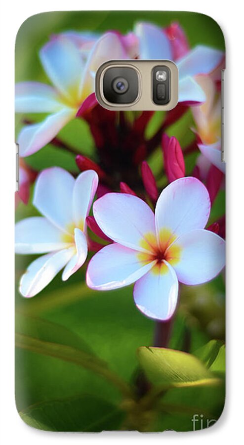 Photograph Galaxy S7 Case featuring the photograph Fragrant Sunset by Kelly Wade