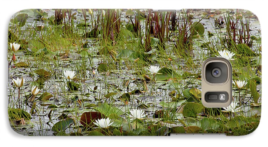 Amherst Galaxy S7 Case featuring the photograph Fragrant White by Susan Cole Kelly