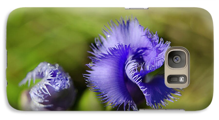 Fringed Gentian Galaxy S7 Case featuring the photograph Fringed Gentian by Ann Bridges