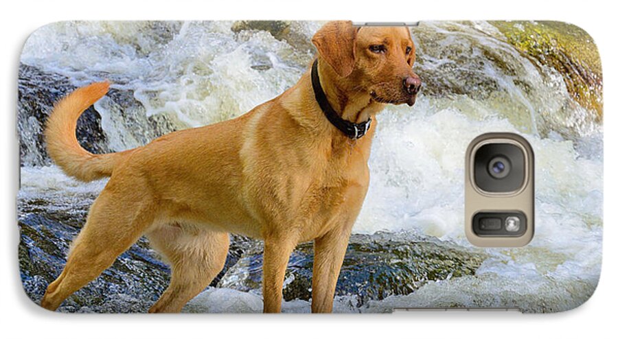 Lab Galaxy S7 Case featuring the photograph Fun at the Creek by Kathy King