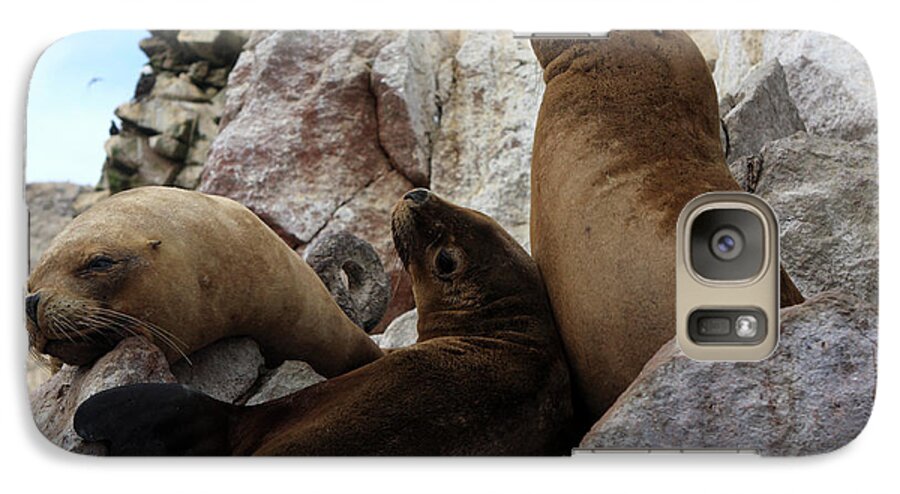 Fur Galaxy S7 Case featuring the photograph Fur Seals On The Ballestas Islands, Peru by Aidan Moran