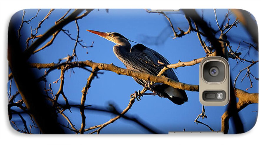 Terry Elniski Photography Galaxy S7 Case featuring the photograph Great Blue Heron Nesting 2017 - 2 by Terry Elniski