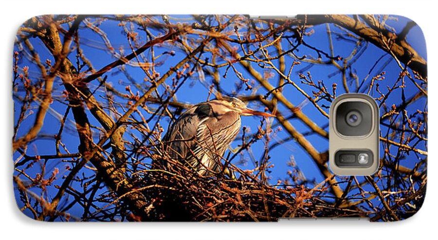 Terry Elniski Photography Galaxy S7 Case featuring the photograph Great Blue Heron Nesting 2017 - 4 by Terry Elniski