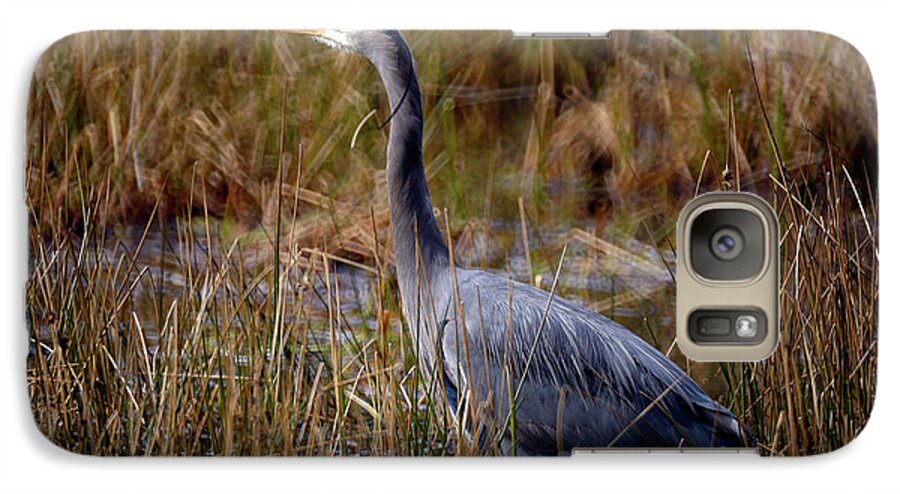 Terry Elniski Photography Galaxy S7 Case featuring the photograph Great Blue Heron On The Hunt 3 by Terry Elniski