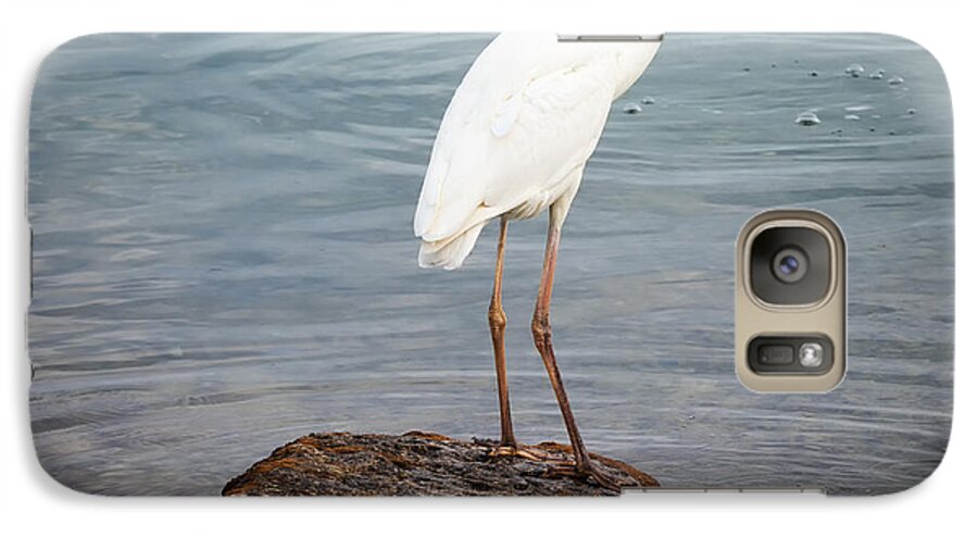 Great White Heron Galaxy S7 Case featuring the photograph Great white heron with fish by Elena Elisseeva