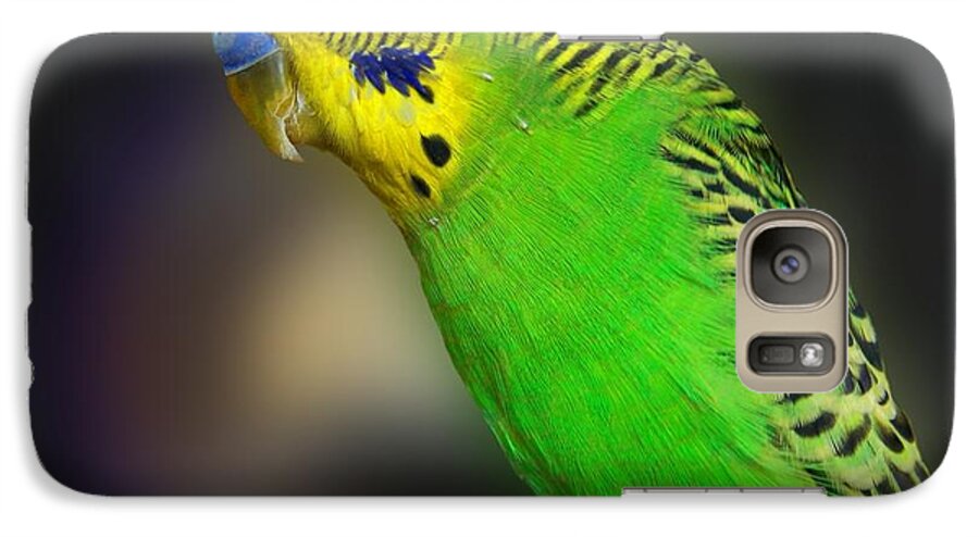 Bird Galaxy S7 Case featuring the photograph Green Parakeet Portrait by Jai Johnson