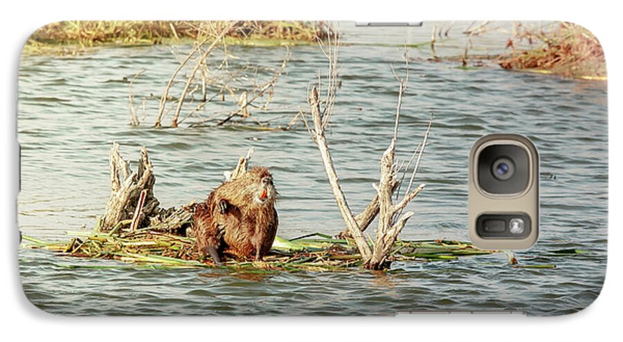 Animal Galaxy S7 Case featuring the photograph Grinning Nutria On Reeds by Robert Frederick