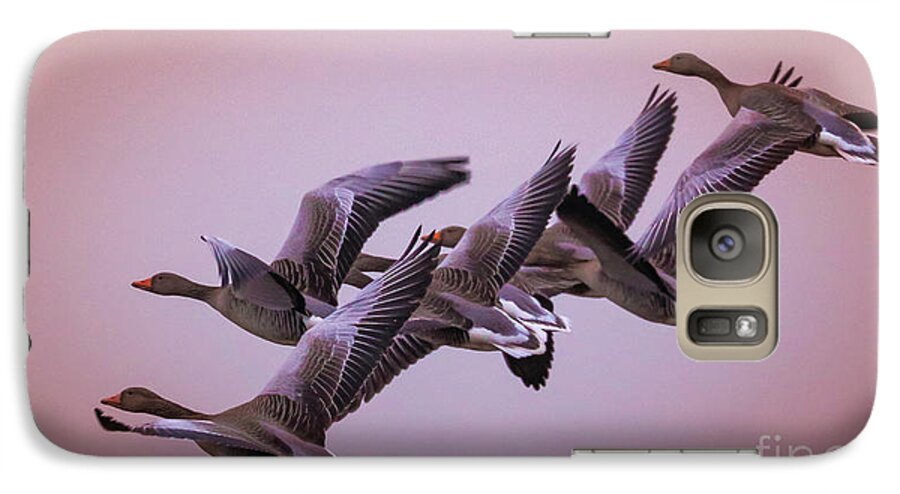 Goose Galaxy S7 Case featuring the photograph Group Flight by Franziskus Pfleghart