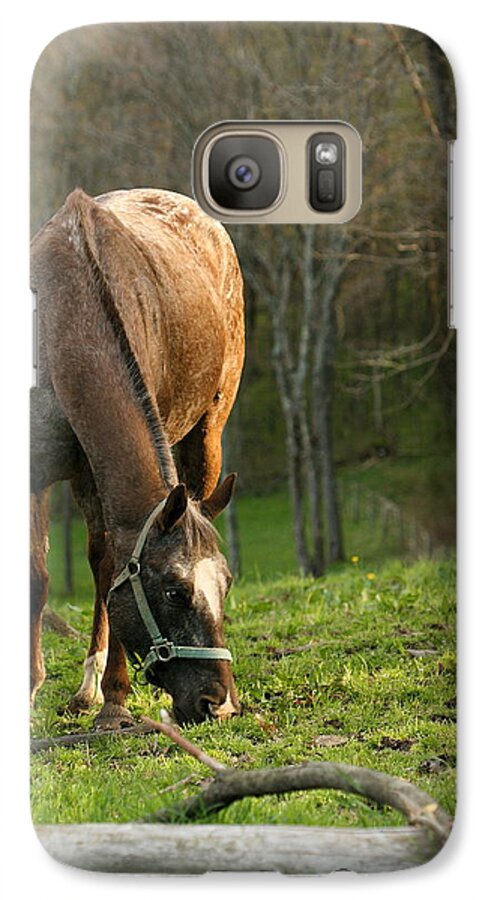 Pasture Galaxy S7 Case featuring the photograph Happy Grazing by Angela Rath