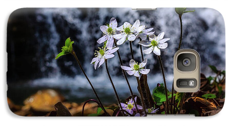 Hepatica Galaxy S7 Case featuring the photograph Hepatica and Waterfall by Thomas R Fletcher