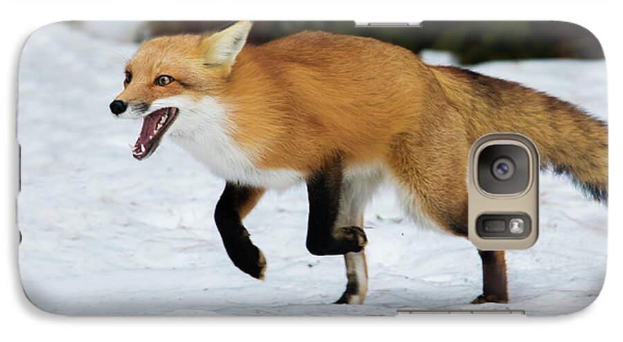 Animal Galaxy S7 Case featuring the photograph High Speed Fox by Mircea Costina Photography