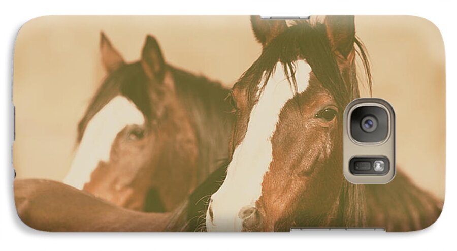 Horses Galaxy S7 Case featuring the photograph Horse Portrait by Ana V Ramirez