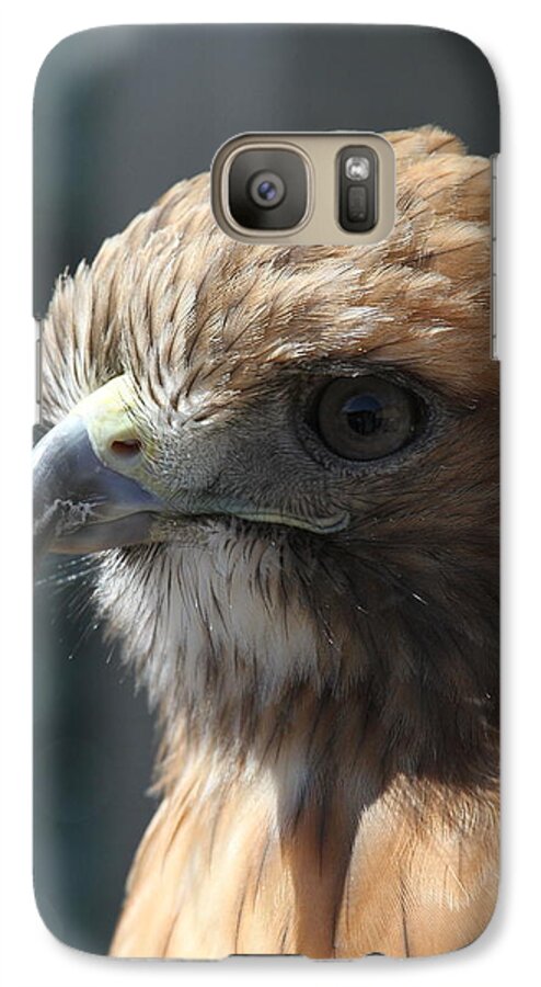 Hawk Galaxy S7 Case featuring the photograph Hunter's Spirit by Laddie Halupa