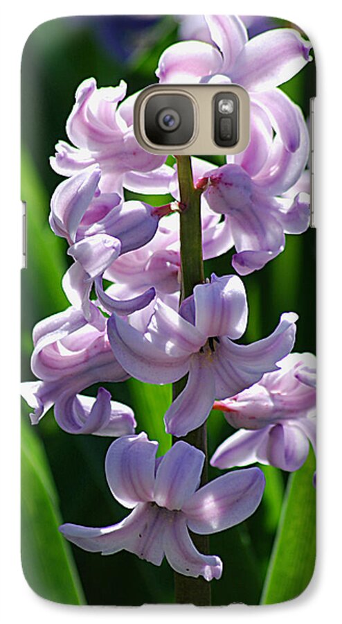 Hyacinth Galaxy S7 Case featuring the photograph Hyacinth 20120402_127a by Tina Hopkins