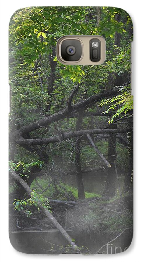 Scenic Tours Galaxy S7 Case featuring the photograph If A Tree Falls In The Woods by Skip Willits