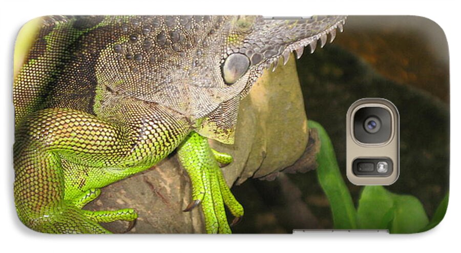 Iguana Galaxy S7 Case featuring the photograph Iguana - A Special Garden Guest by Christiane Schulze Art And Photography