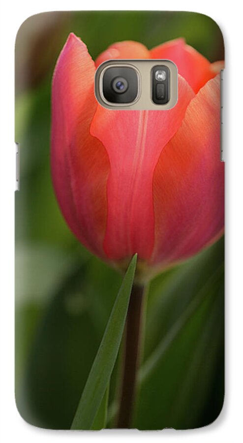Flower Galaxy S7 Case featuring the photograph Iridescent Tulip by Mary Jo Allen