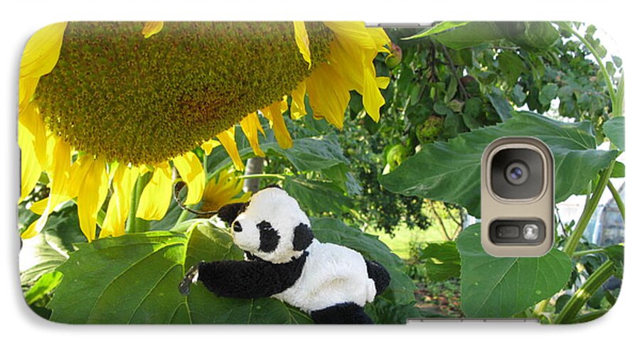 Baby Panda Galaxy S7 Case featuring the photograph It's a BIG sunflower by Ausra Huntington nee Paulauskaite