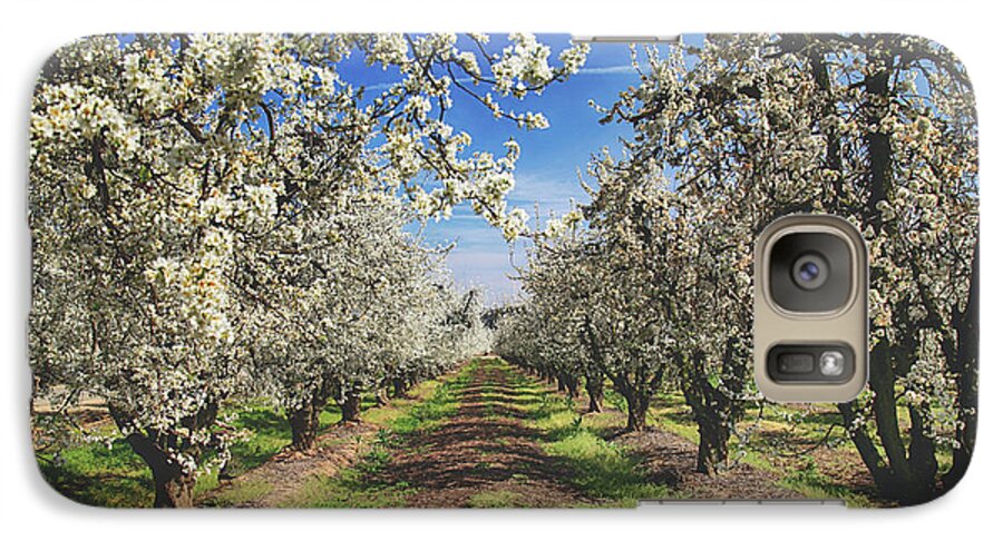 Fresno Blossom Trail Galaxy S7 Case featuring the photograph It's a New Day by Laurie Search