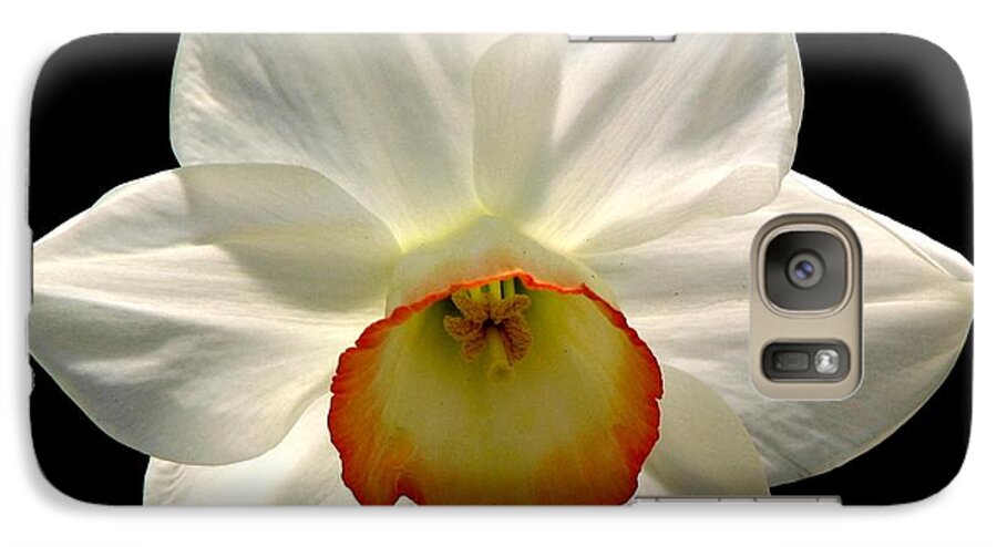 Jonquil Galaxy S7 Case featuring the photograph Jonquil 1 by Rose Santuci-Sofranko