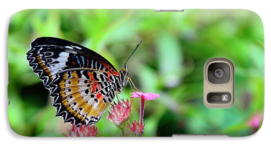 Butterfly Galaxy S7 Case featuring the photograph Lace Wing Butterfly by Corinne Rhode